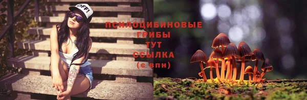 PSILOCYBIN Богданович