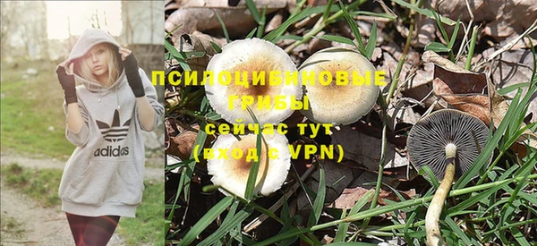 PSILOCYBIN Богданович